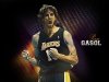 Gasol, ser el abanderado de Espaa