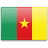 Bandera de Camerun